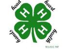 4-H’ers meeting to focus on fall, service project