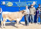 Nikodyms win Grand Champion Haltered Bull at National Western Stock Show