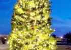 A 19-foot Christmas tree