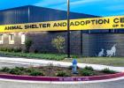 City chooses Nabholz to construct animal shelter