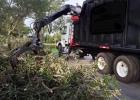 CITY BEGINS ROUND ONE OF WINTER STORM DEBRIS REMOVAL